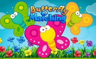 Image Butterfly Matching