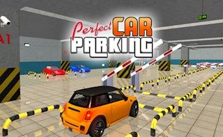 Image Perfect Car Parking